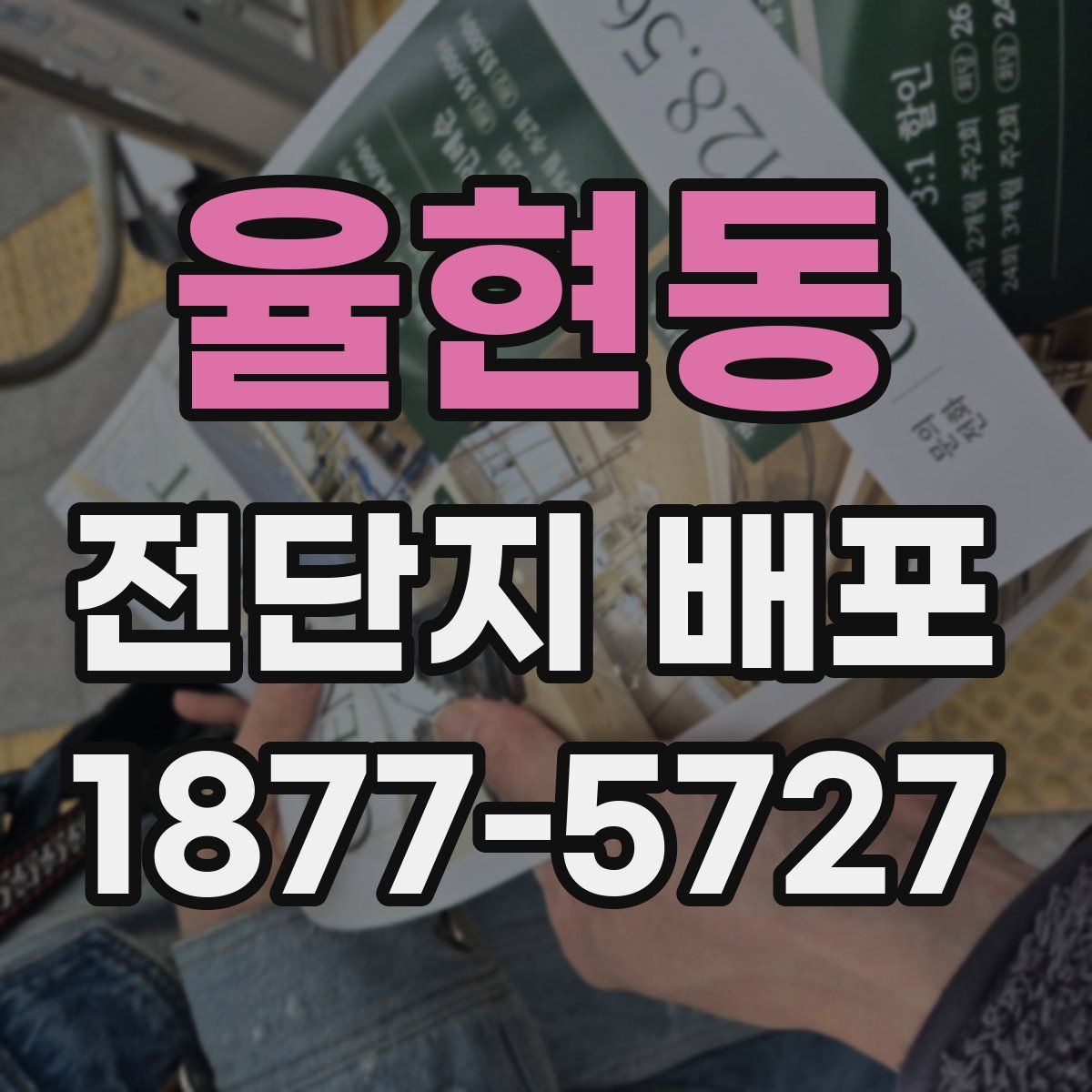 율현동 전단지 배포