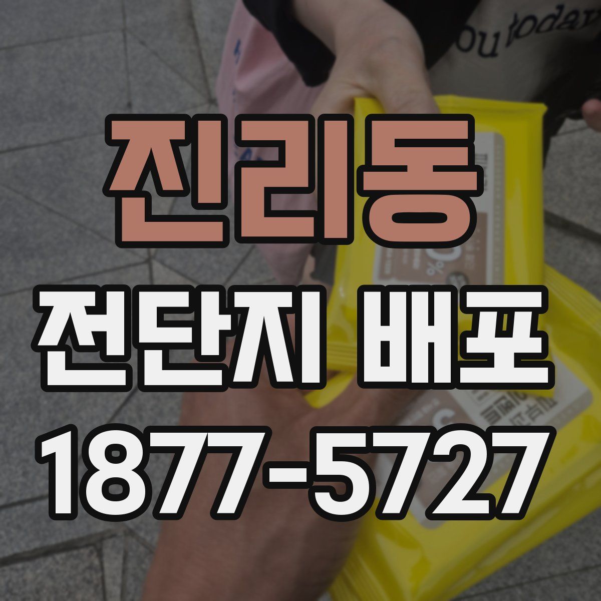 진리동 전단지 배포