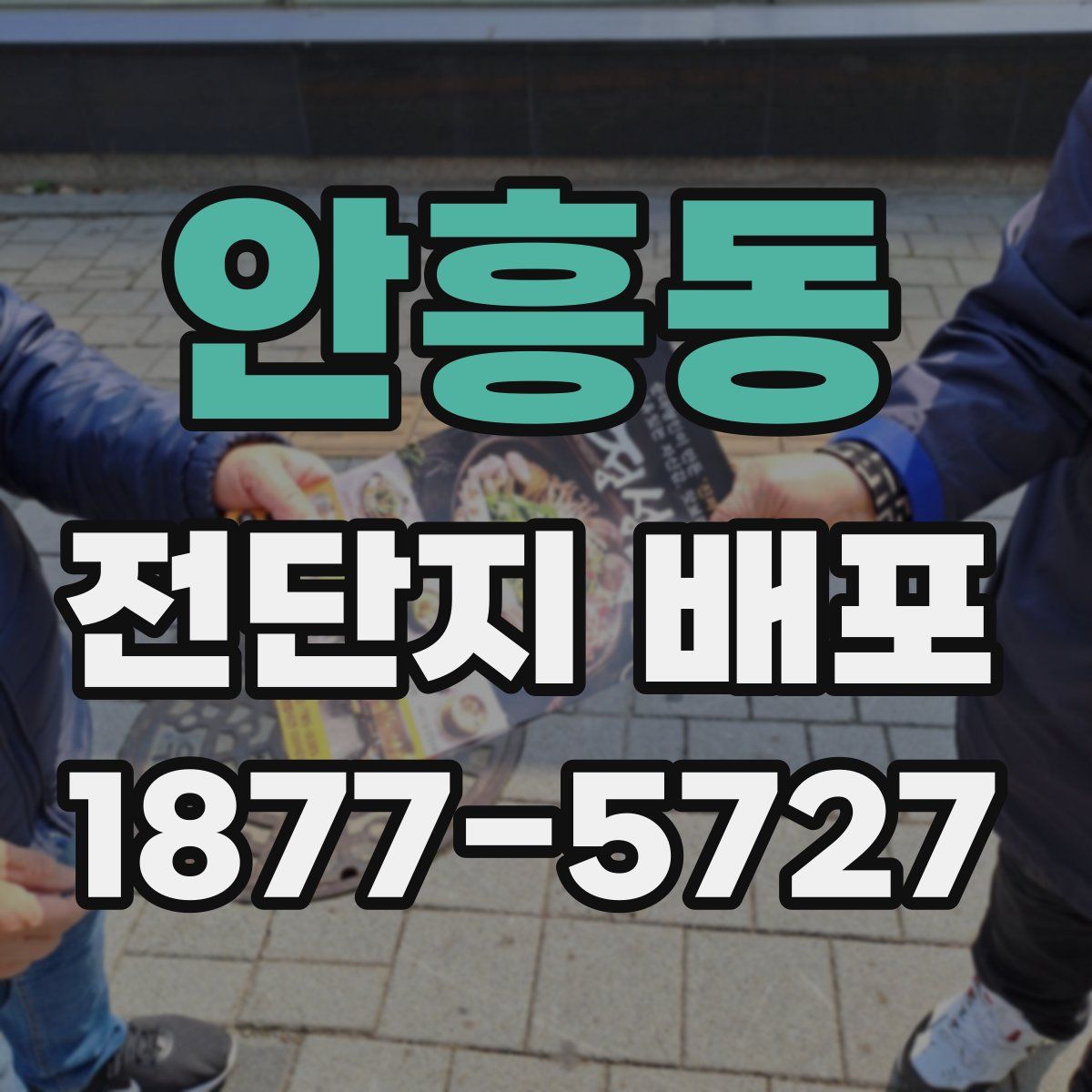 안흥동 전단지 배포