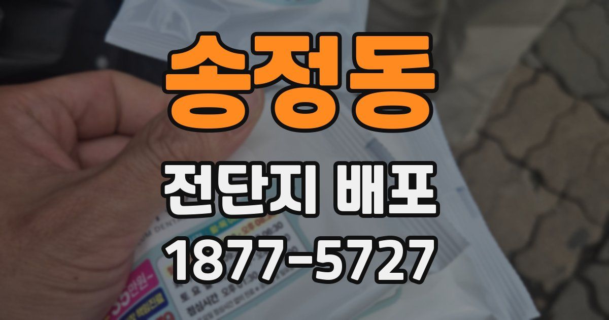 송정동 전단지 배포