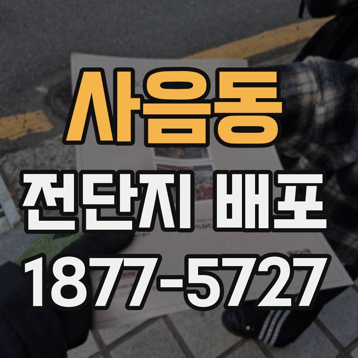 사음동 전단지 배포