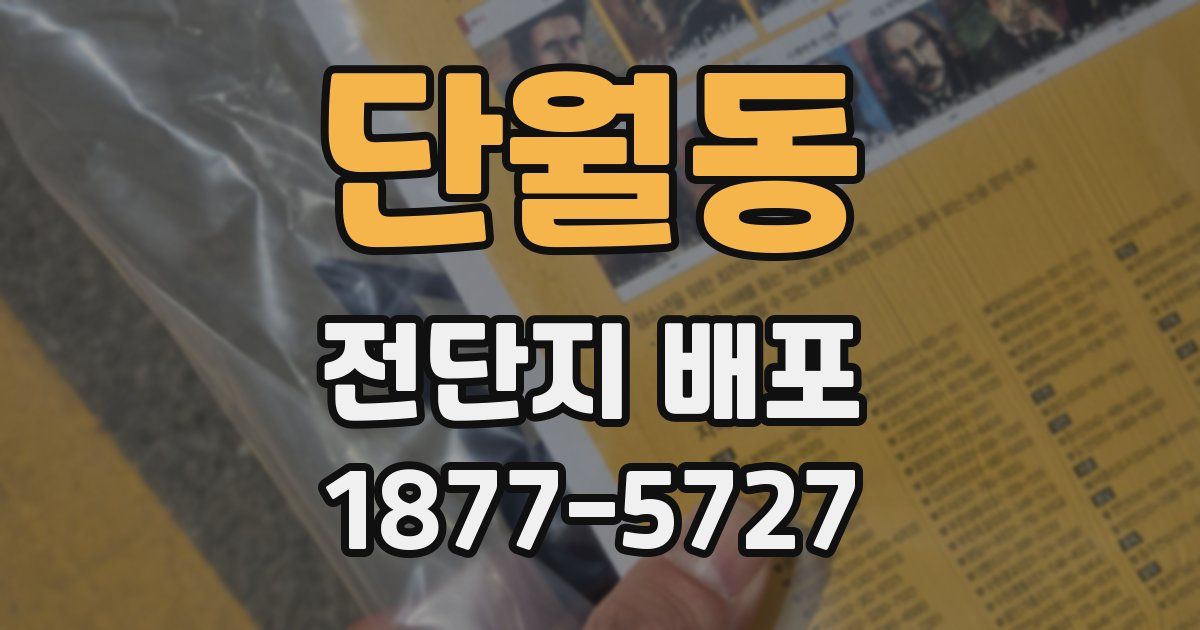 단월동 전단지 배포