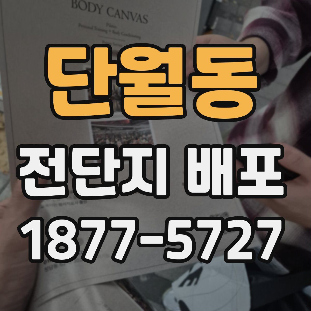 단월동 전단지 배포