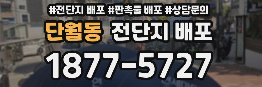 단월동 전단지 배포