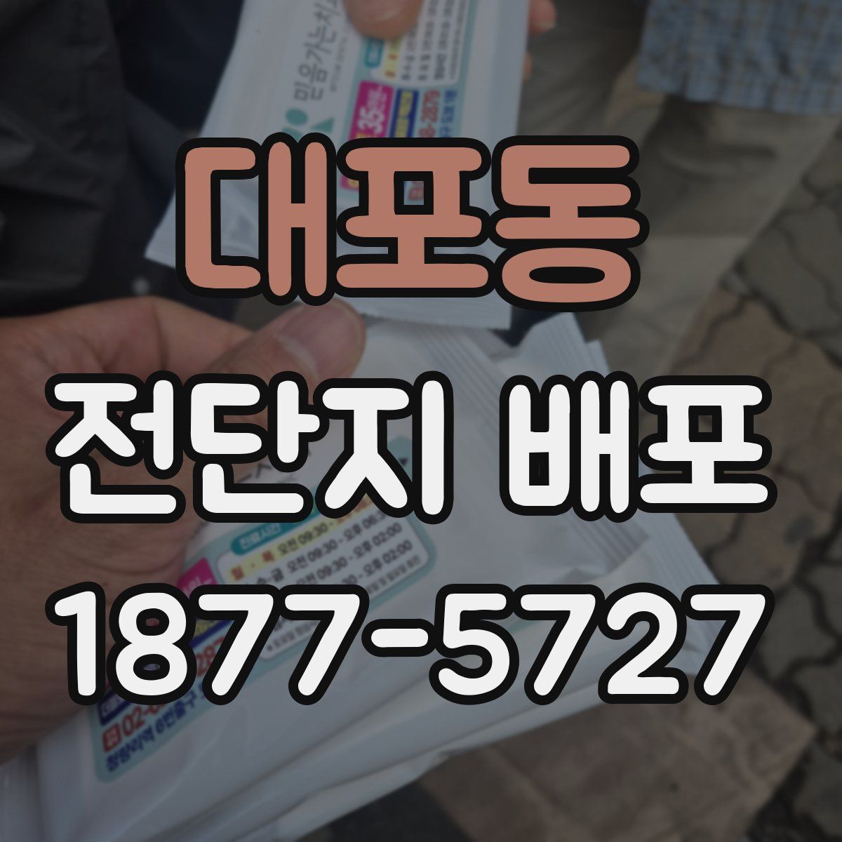 대포동 전단지 배포