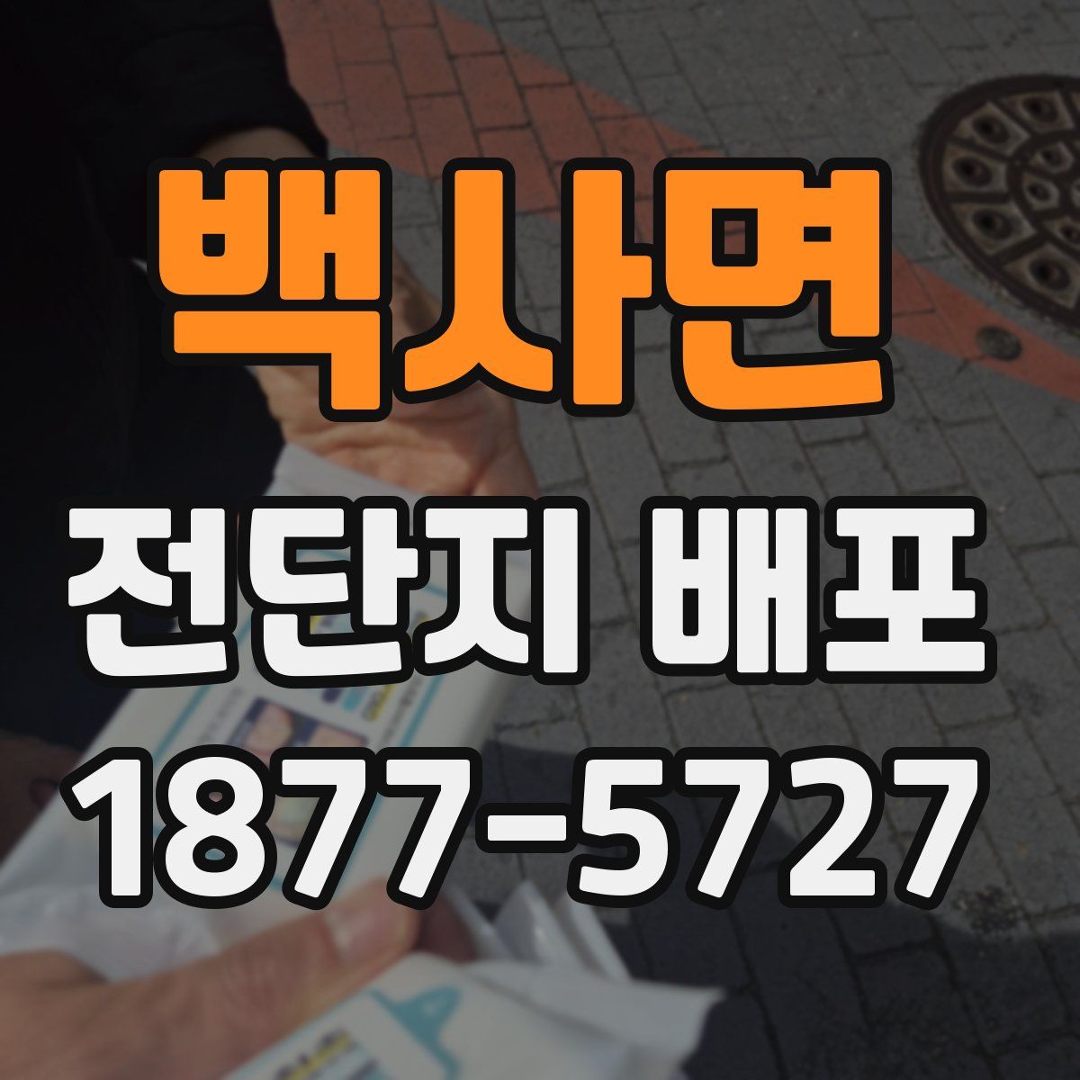 백사면 전단지 배포