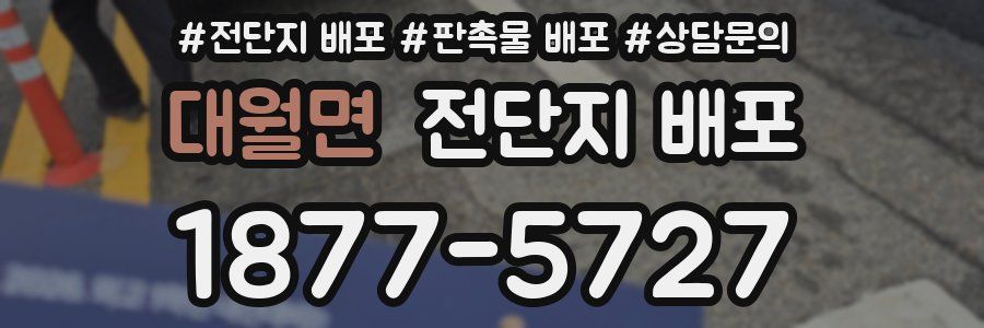 대월면 전단지 배포