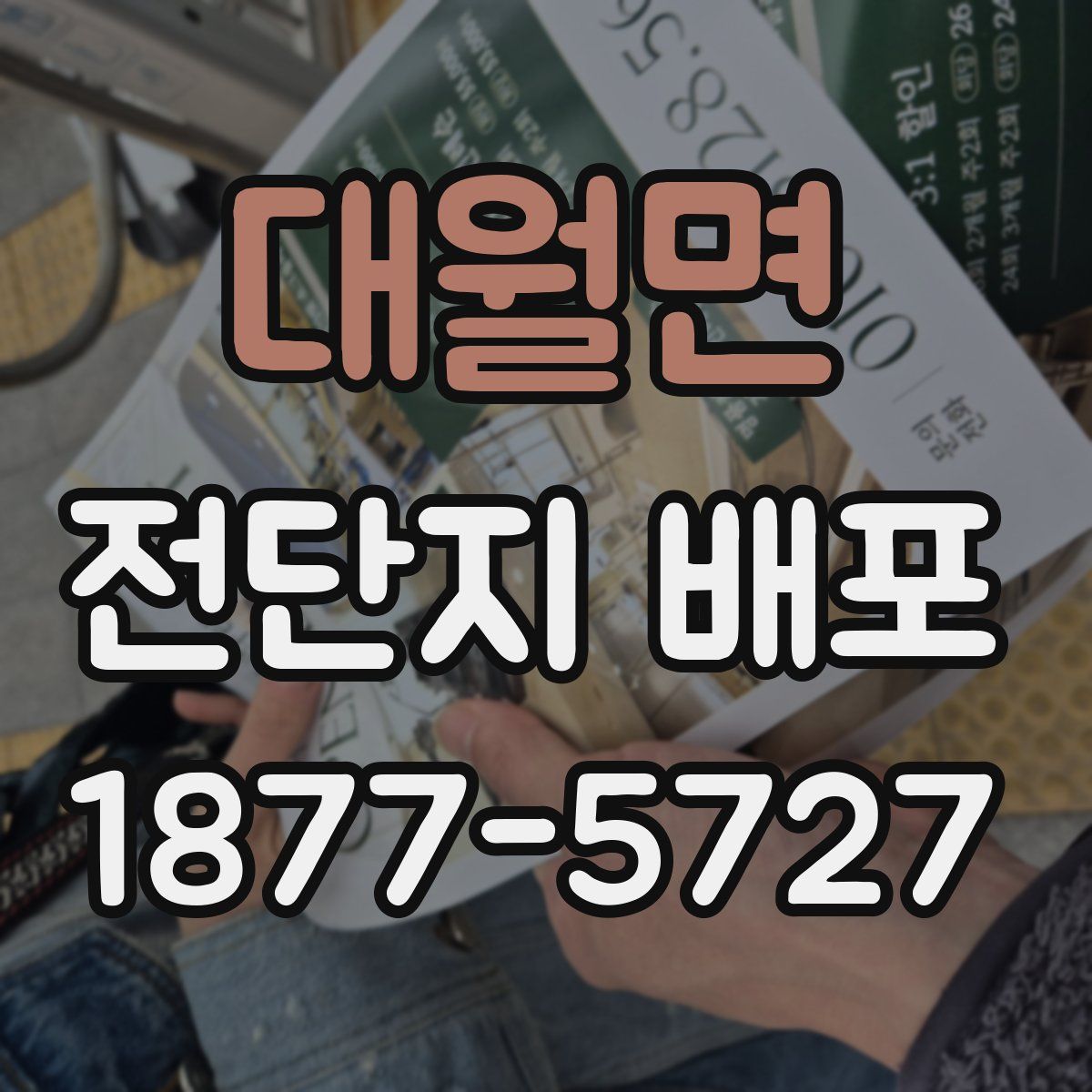 대월면 전단지 배포