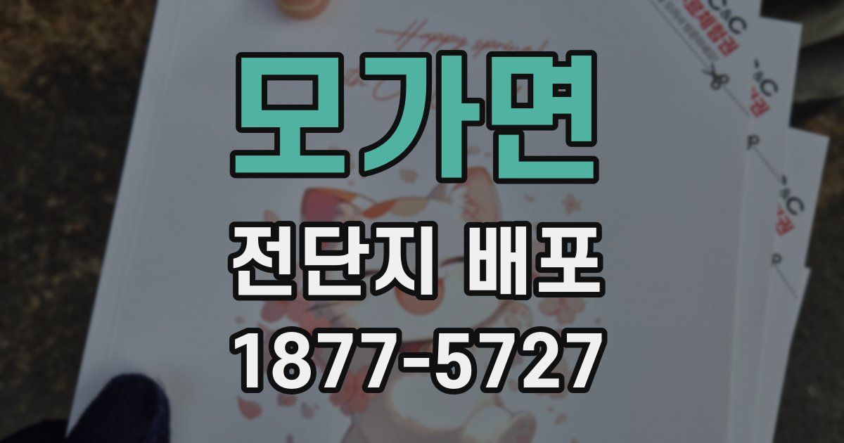 모가면 전단지 배포