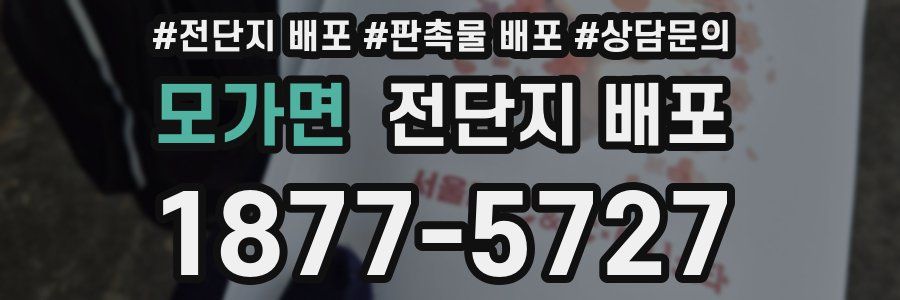 모가면 전단지 배포