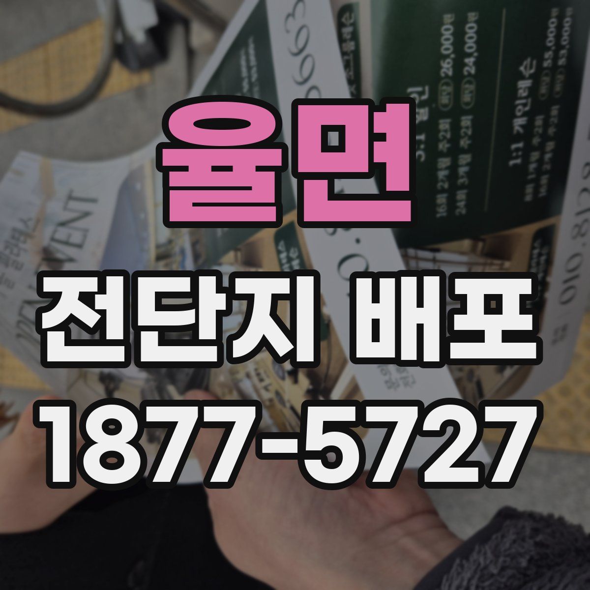 율면 전단지 배포