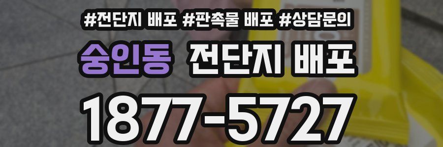 숭인동 전단지 배포