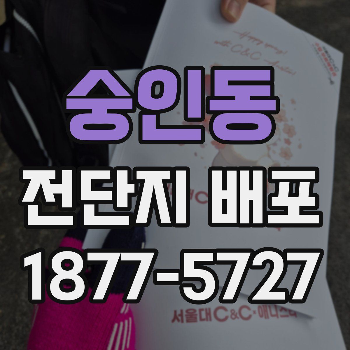 숭인동 전단지 배포