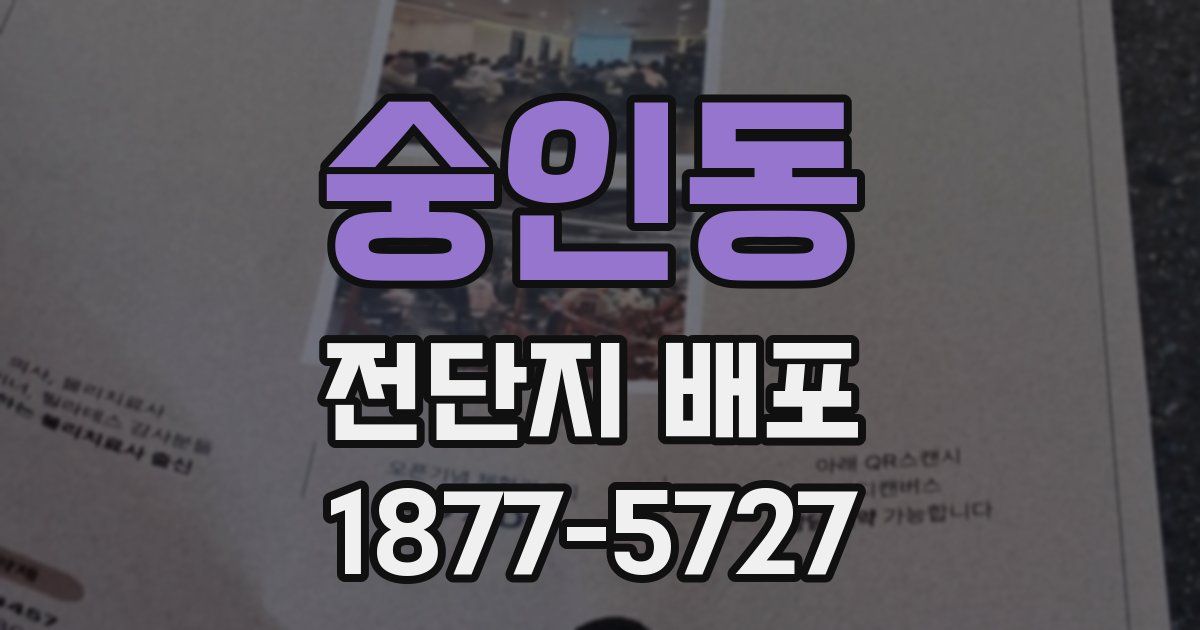 숭인동 전단지 배포