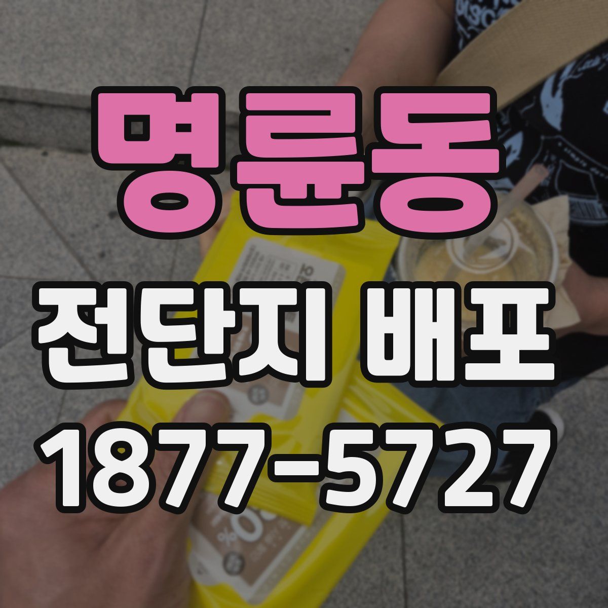 명륜동 전단지 배포