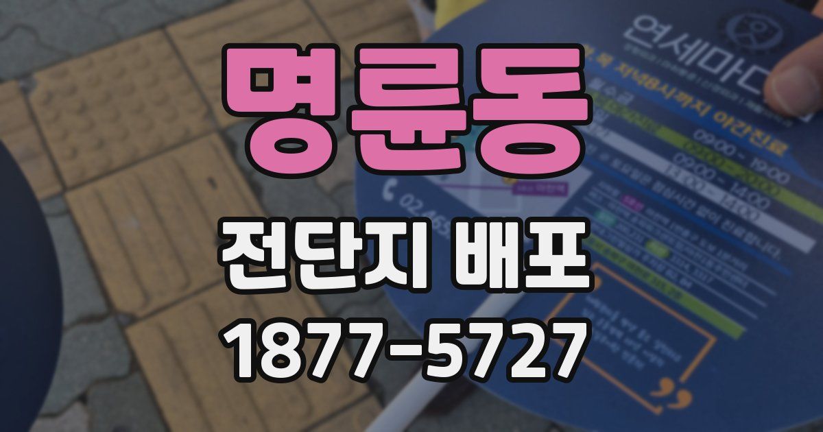 명륜동 전단지 배포