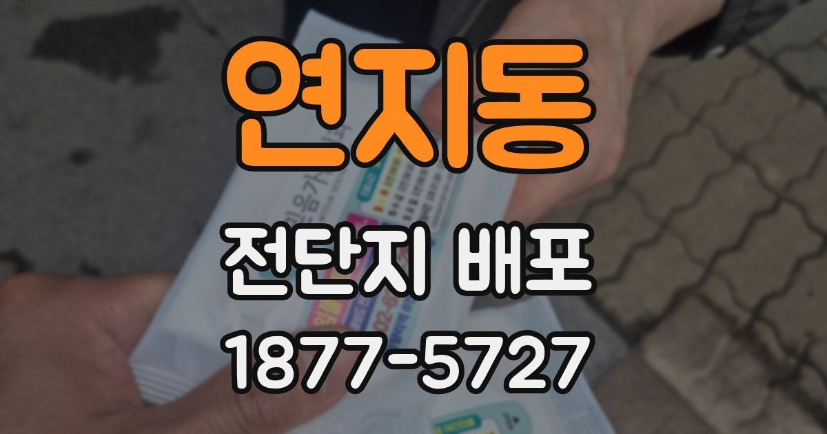 연지동 전단지 배포