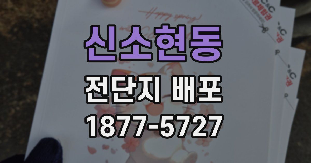 신소현동 전단지 배포