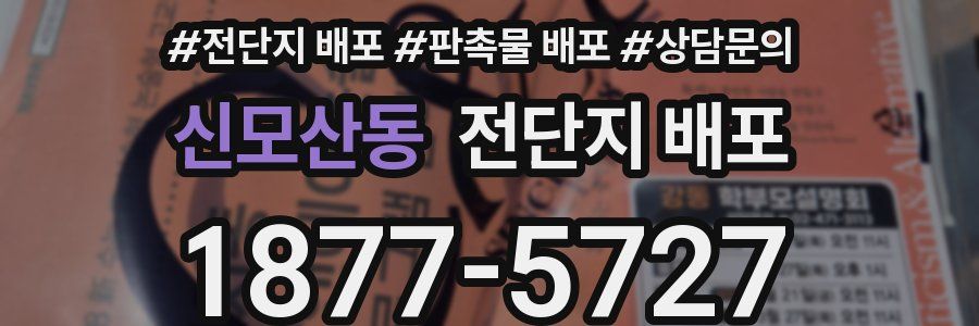 신모산동 전단지 배포