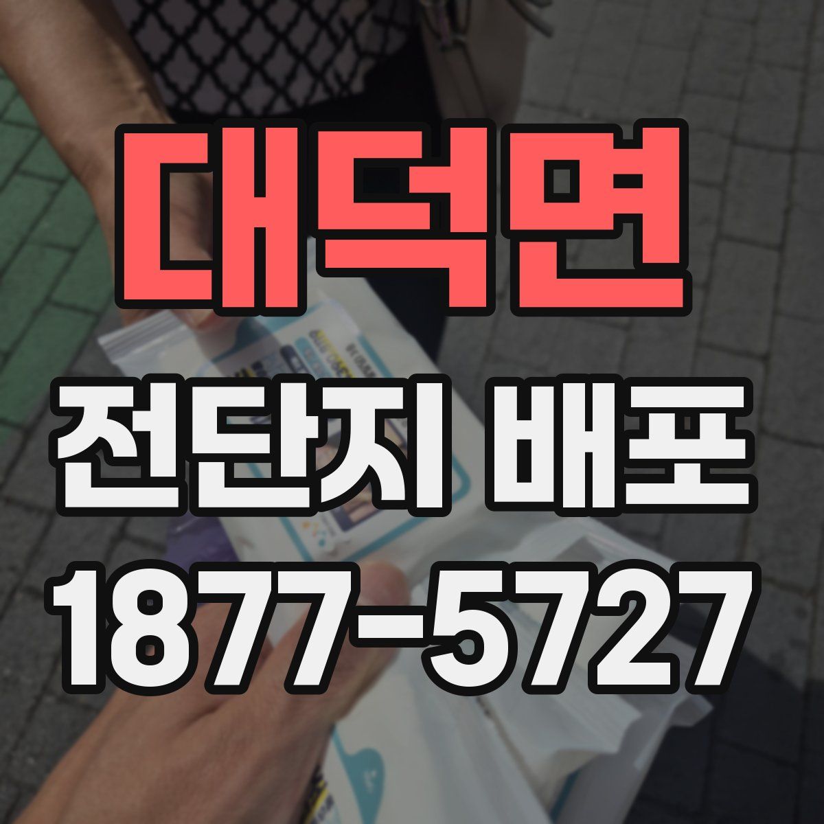 대덕면 전단지 배포