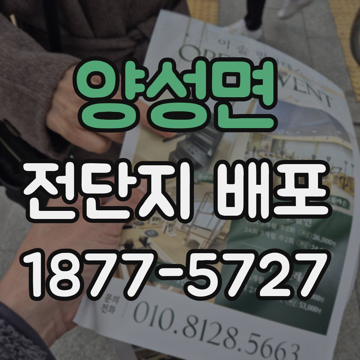 양성면 전단지 배포