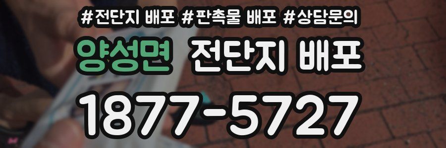 양성면 전단지 배포
