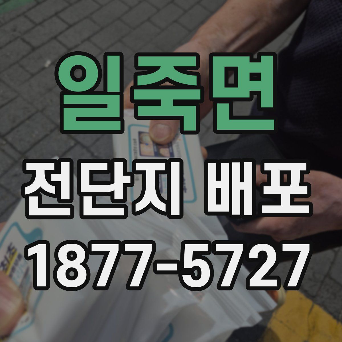일죽면 전단지 배포