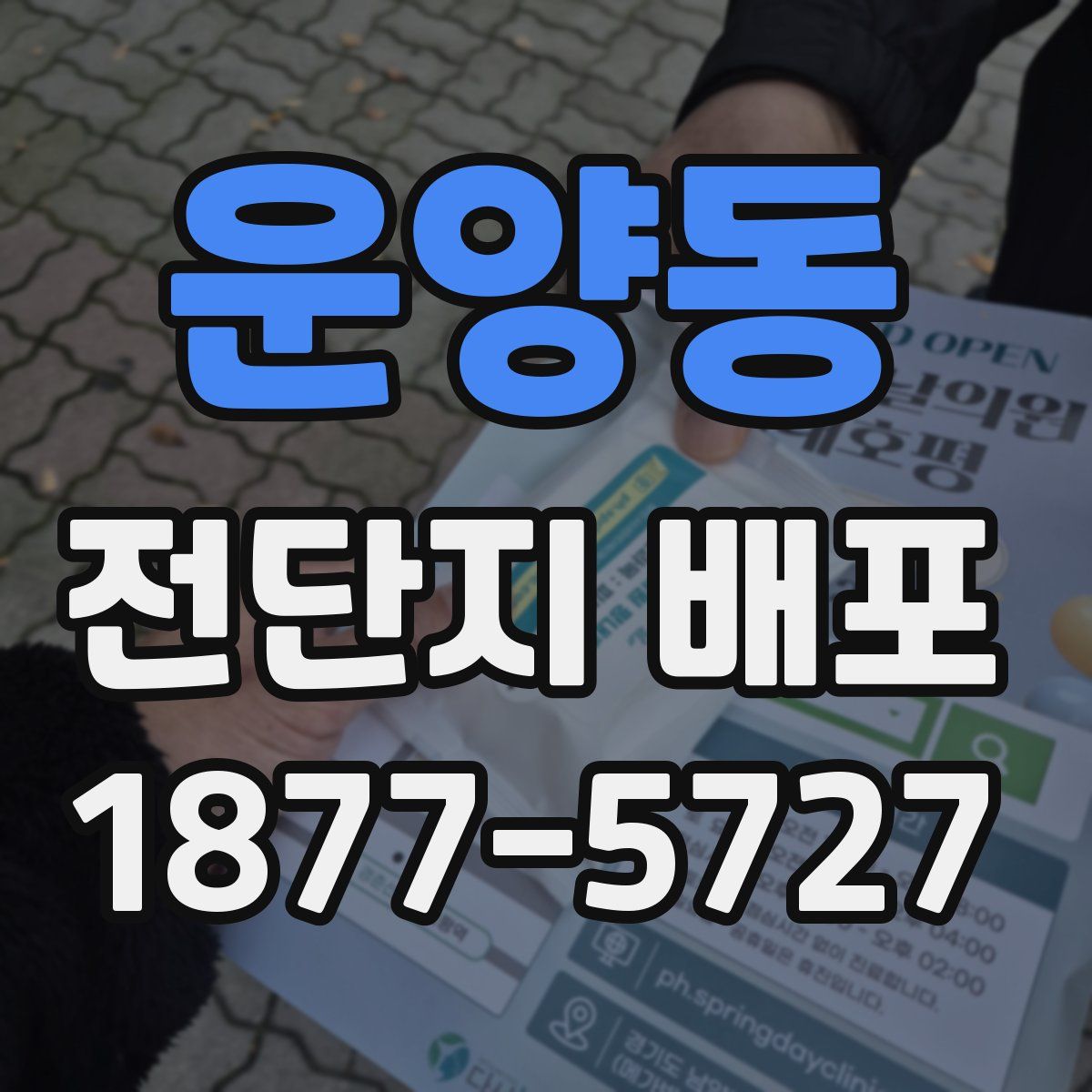 운양동 전단지 배포