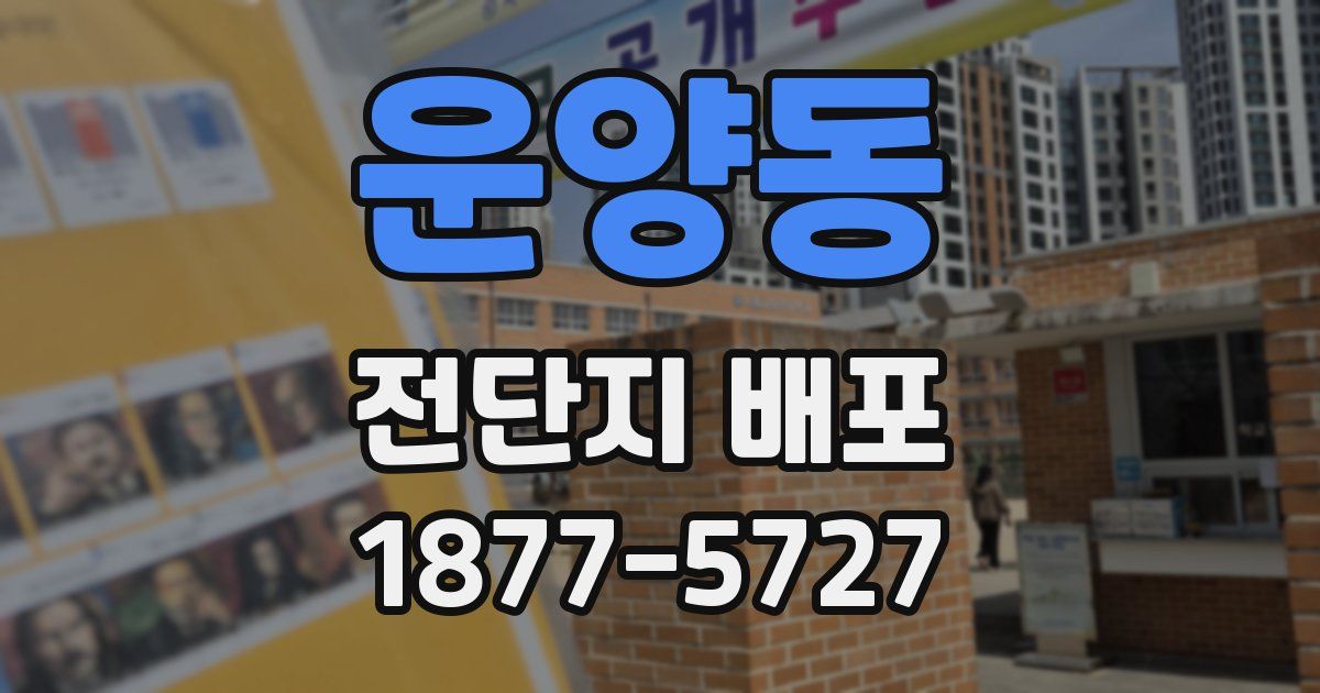 운양동 전단지 배포