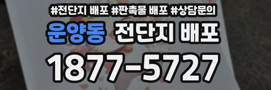 운양동 전단지 배포
