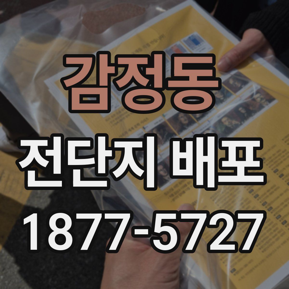감정동 전단지 배포