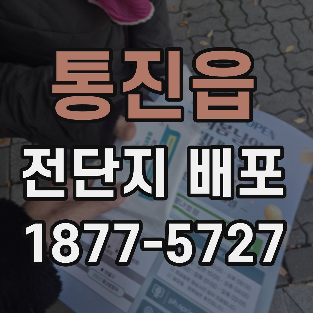 통진읍 전단지 배포