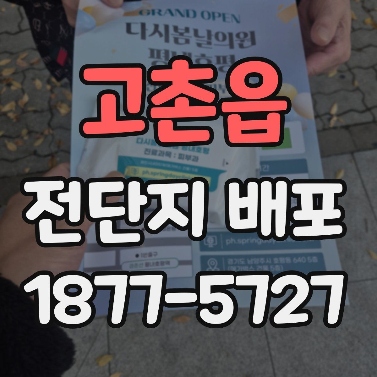 고촌읍 전단지 배포