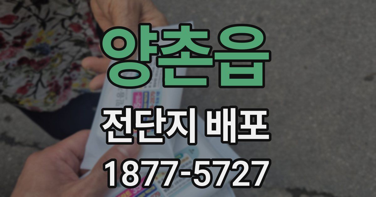 양촌읍 전단지 배포