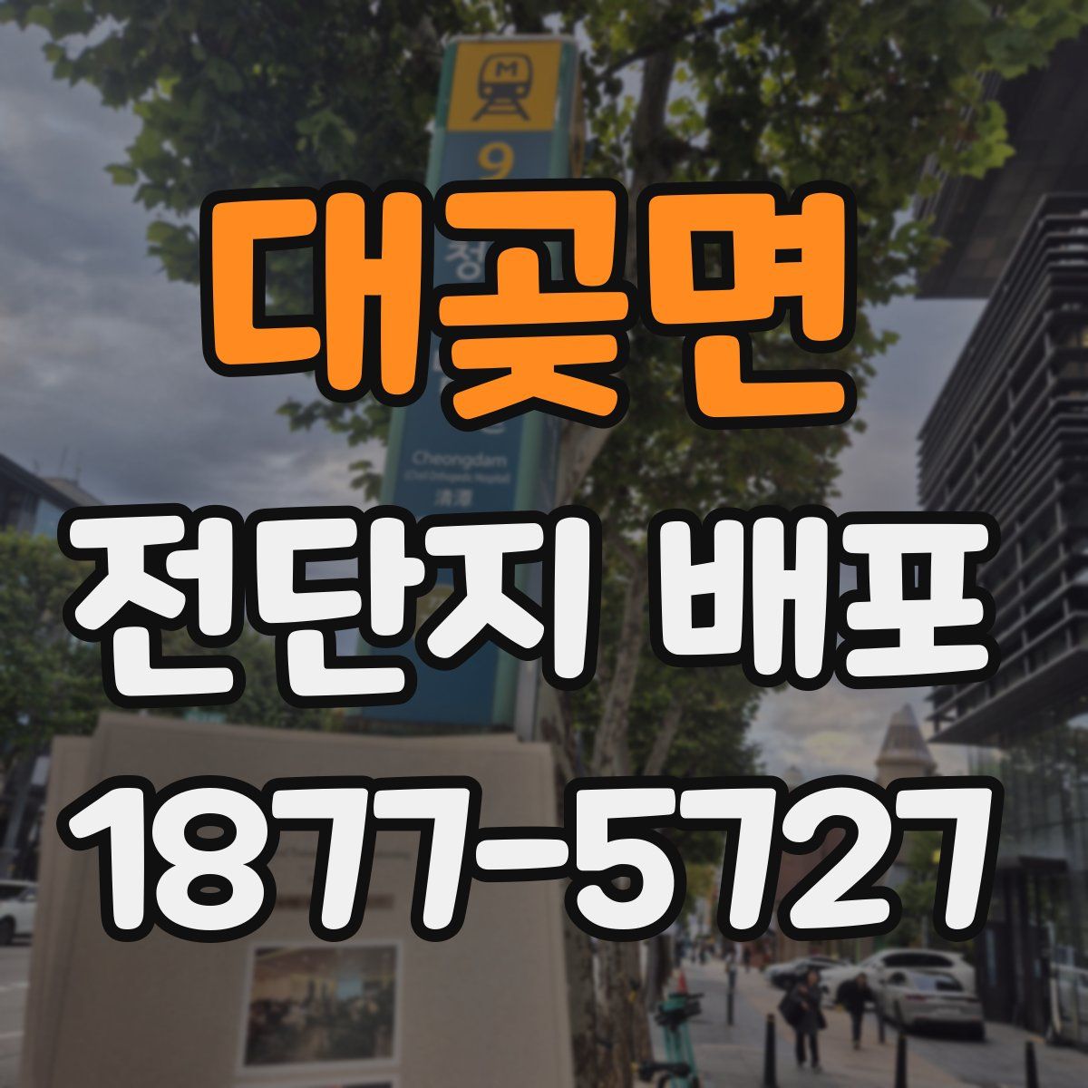 대곶면 전단지 배포