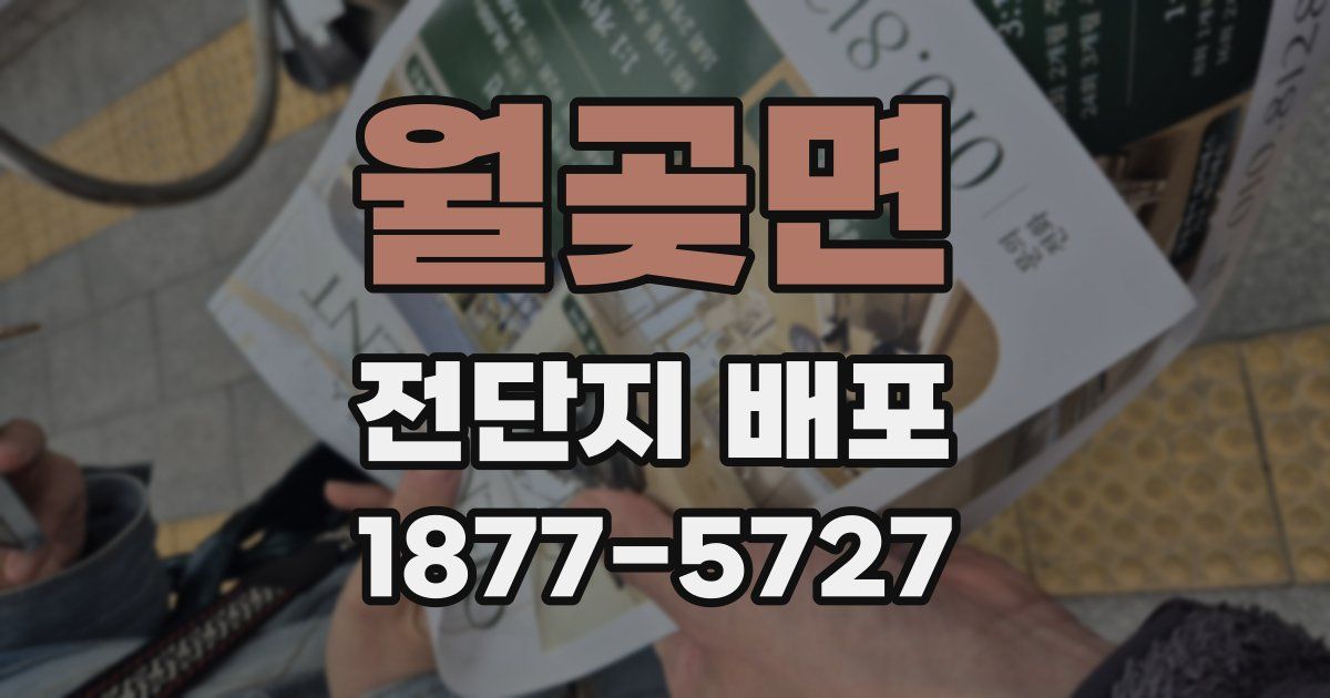 월곶면 전단지 배포