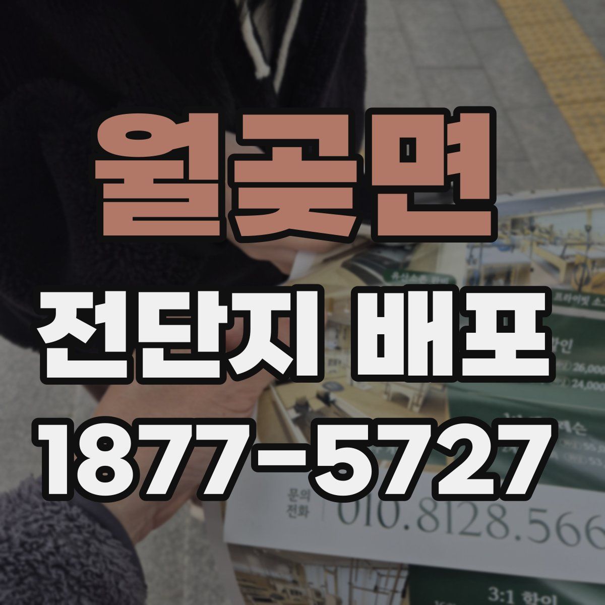 월곶면 전단지 배포