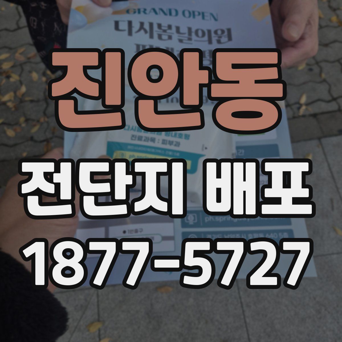 진안동 전단지 배포