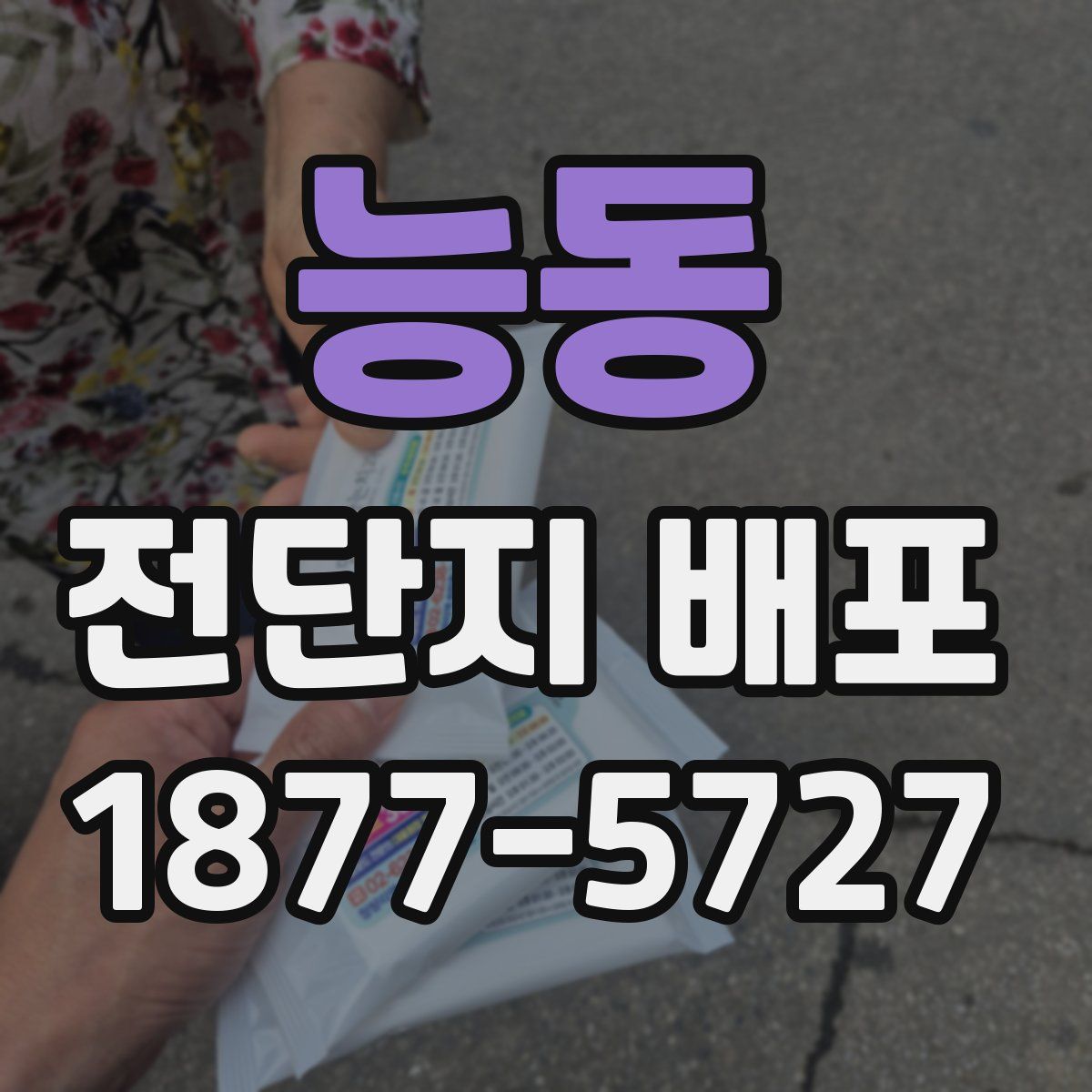 능동 전단지 배포