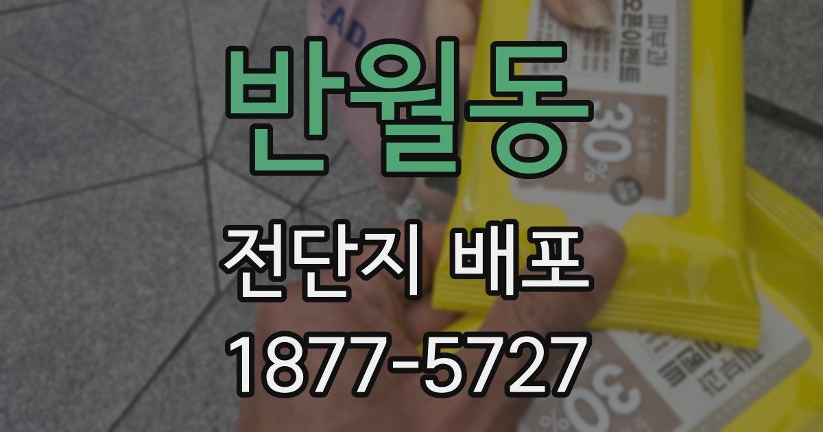 반월동 전단지 배포