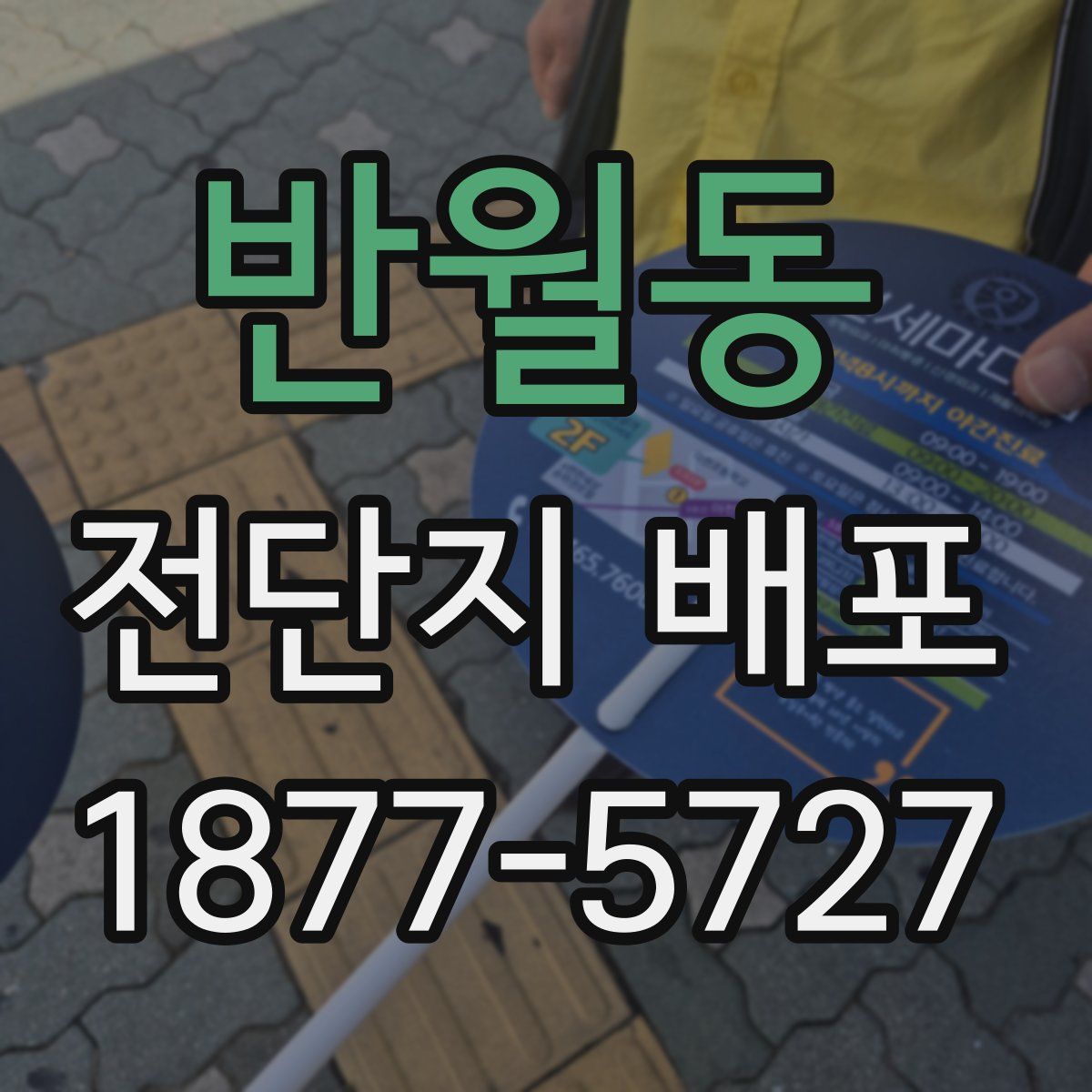 반월동 전단지 배포