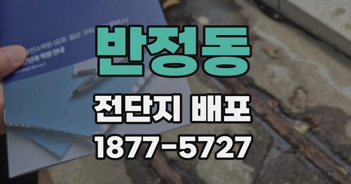 반정동 전단지 배포