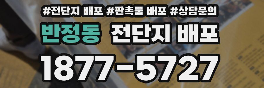 반정동 전단지 배포