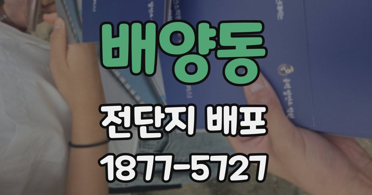 배양동 전단지 배포