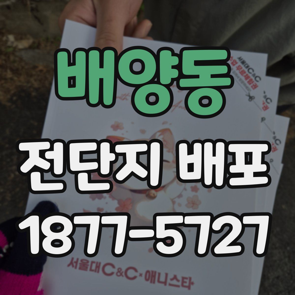 배양동 전단지 배포