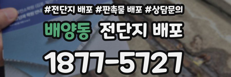 배양동 전단지 배포