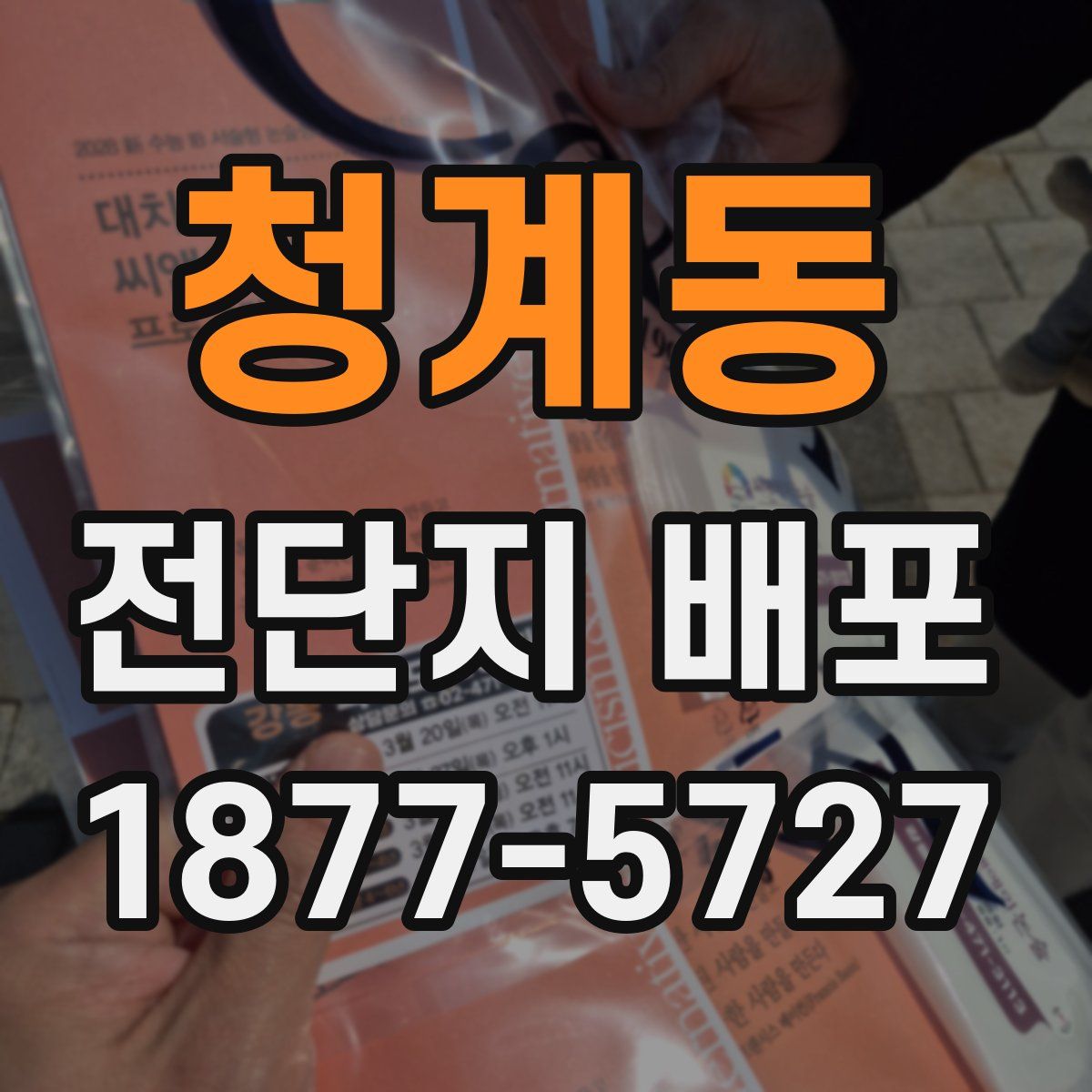 청계동 전단지 배포