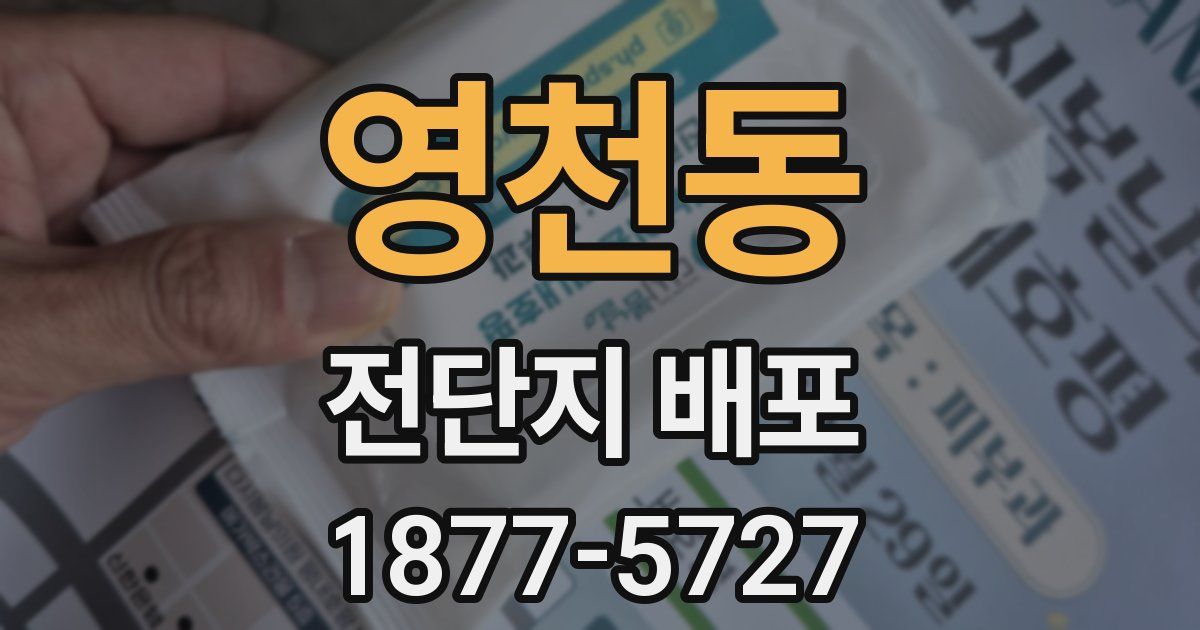 영천동 전단지 배포