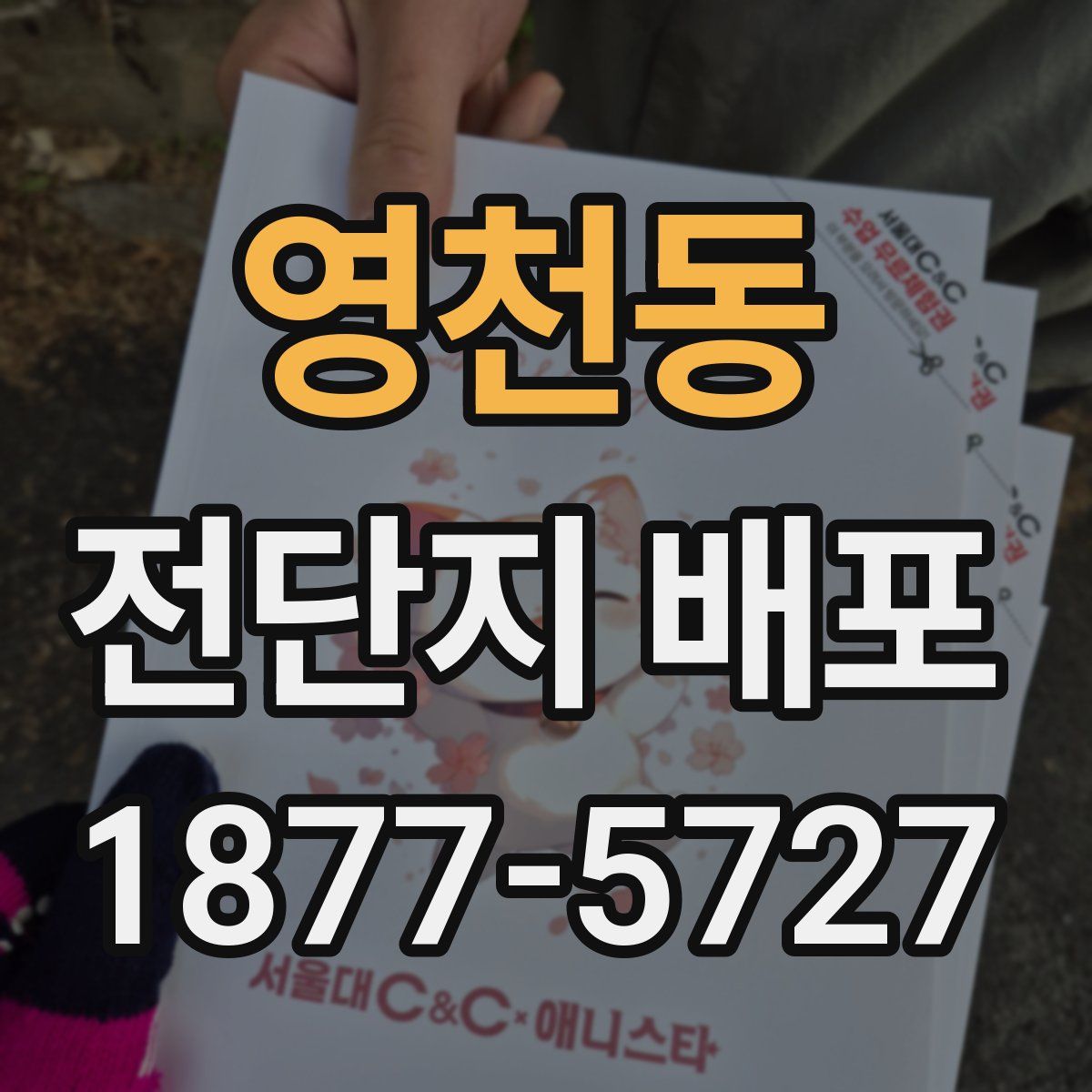 영천동 전단지 배포