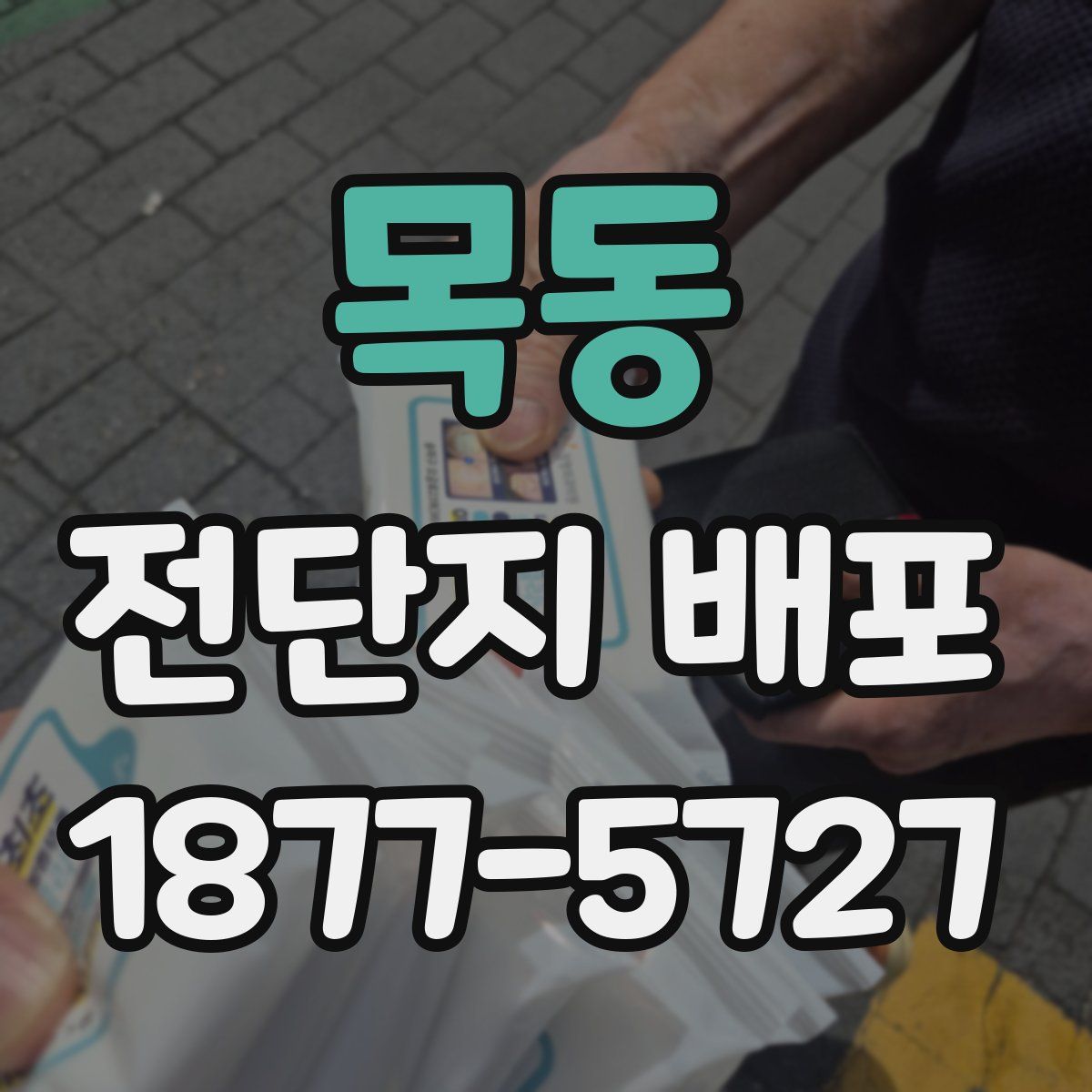목동 전단지 배포